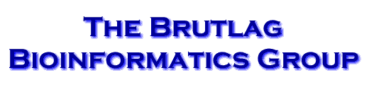 The Brutlag Bioinformatics Group